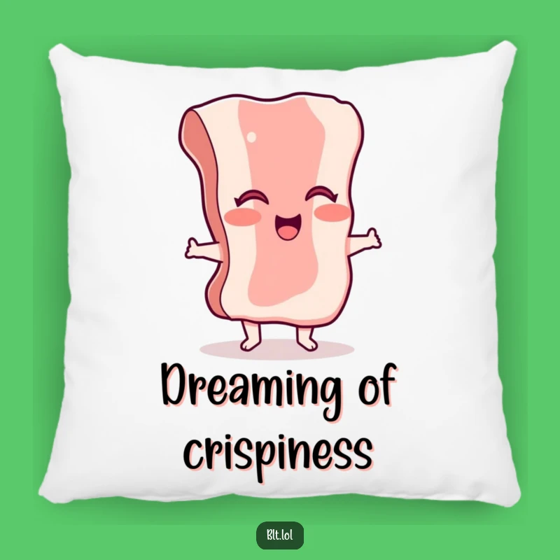 Soft Funny Bacon Pillow: Huggable Humor for Your Couch